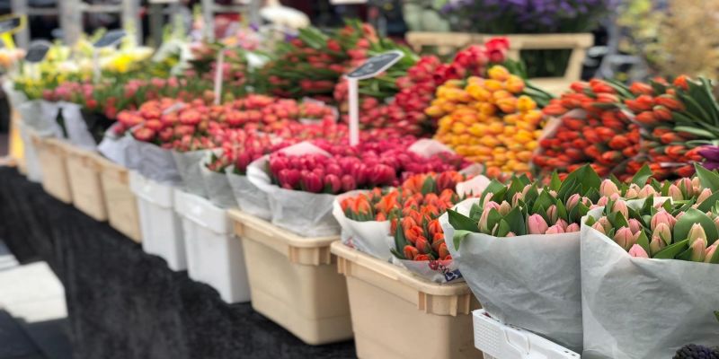 Bloemenmarkt (Flower Market)